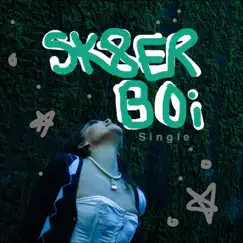 Sk8er Boi - Single by Brooklyn Grace album reviews, ratings, credits
