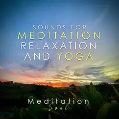 Sounds for Meditation, Relaxation and Yoga - Single by Meditation Soul album reviews, ratings, credits