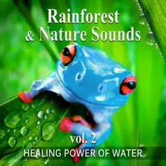 Rainforest & Nature Sounds, Vol. 2: 50 Healing Power of Water (Rain, River, Ocean and Sea) Music for Sleep and Relaxation, Free Your Mind & Relax Better, Deep Waves Meditation by Calming Water Consort album reviews, ratings, credits