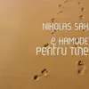 Pentru Tine (feat. HAMUDE) song lyrics
