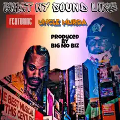 What the City Sound Like (feat. Uncle Murda) - Single by Harlem 6 album reviews, ratings, credits
