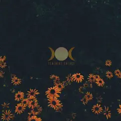 Summer Daze (Meditation) [feat. Naomi the Goddess] Song Lyrics