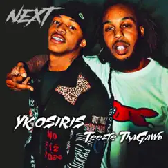 Next (feat. YK Osiris) - Single by Teezie ThaGawd album reviews, ratings, credits