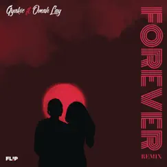 Forever (Remix) Song Lyrics