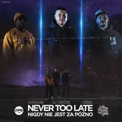 Never Too Late / Nigdy nie jest za późno - Single by DJ Decks, Ras Kass & O.S.T.R. album reviews, ratings, credits