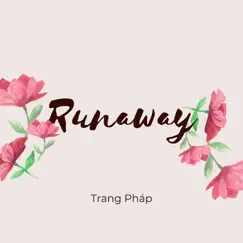 Runaway (Vietnamese Version) Song Lyrics