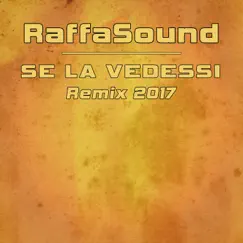 Se la vedessi (Remix 2017) - Single by RaffaSound album reviews, ratings, credits