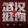 武汉挺你 - Single album lyrics, reviews, download