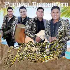 Popurrí Agachadita - Single by Grupo Permanente album reviews, ratings, credits