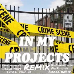 In My Projects (feat. Booda Babyy, Thola, D Bola, Fat Philthy, Take Money Ezy, J Slap & LR) [Remix] Song Lyrics