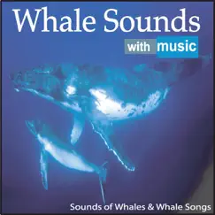 Humpback Whales and Sounds of the Sea Song Lyrics