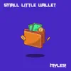 Small Little Wallet - Single album lyrics, reviews, download