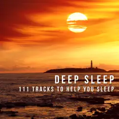 Tranquility REM Deep Sleep Song Lyrics