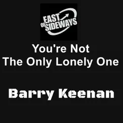 You're Not the Only Lonely One Song Lyrics