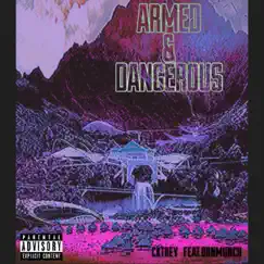 Armed & Dangerous (feat. DBN Munch) Song Lyrics