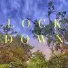 Lockdown - Single album lyrics, reviews, download