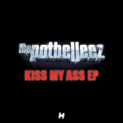 Kiss My Ass (Micky Slim Remix) Song Lyrics