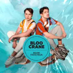 Bloo Feelings by Bloo Crane album reviews, ratings, credits