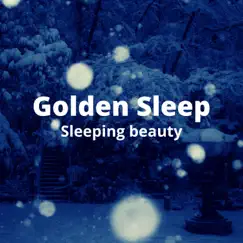 Sleeping Beauty - Single by Golden Sleep album reviews, ratings, credits