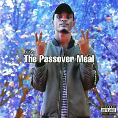 The Passover Meal by Lil Ries album reviews, ratings, credits