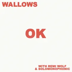 OK (with Remi Wolf & Solomonophonic) - Single by Wallows album reviews, ratings, credits