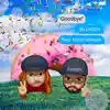 Goodbye (feat. Aaron Gillespie) - Single album lyrics, reviews, download