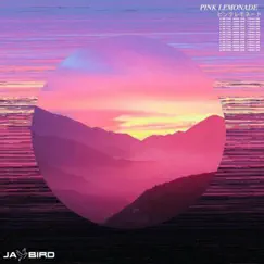 Wasted a Moment (Jay Bird Remix) - Single by Jay Bird & Pink Lemonade album reviews, ratings, credits