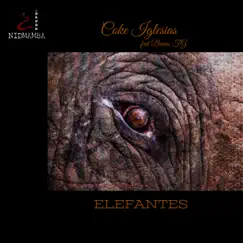 Elefantes (feat. Bruno FG) - Single by Coke Iglesias album reviews, ratings, credits