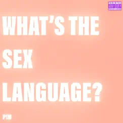 What’s the Sex Language? - Single by PM & Peter Mart!n album reviews, ratings, credits