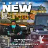 Brand New (feat. Flawless Breezyy) - Single album lyrics, reviews, download
