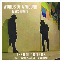 Words of a Wound (Mws Remix) [feat. Lowkey & Nathan Adams] Song Lyrics