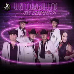 Un Traguito de Tequila - Single by Alexia Lillo & RIVALES DE CHILE album reviews, ratings, credits