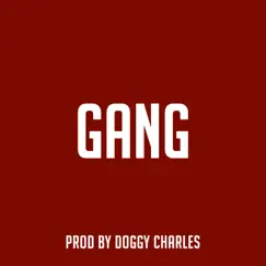 Gang - Single by Doggy Charles album reviews, ratings, credits