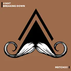 Breaking Down - Single by Vinnt album reviews, ratings, credits