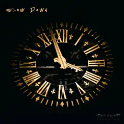 Slow Down - Single by Paranoid album reviews, ratings, credits