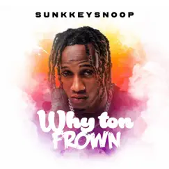 Why Ton Frown - Single by SunkkeySnoop album reviews, ratings, credits