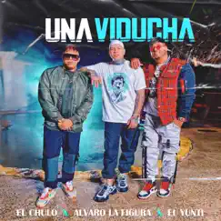 Una Viducha (feat. Alvaro la Figura & El Yunti) - Single by El Chulo album reviews, ratings, credits
