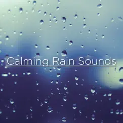 Calming Rain Sounds by Rain Sounds & Rain for Deep Sleep album reviews, ratings, credits