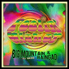 Feelin' Higher (feat. Quino) - Single by Big Mountain & Raingad album reviews, ratings, credits