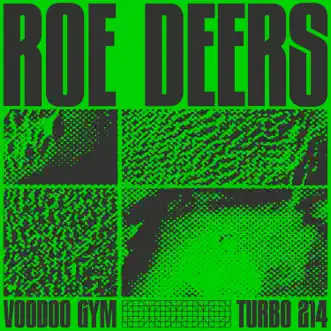Voodoo Gym - EP by Roe Deers album download