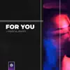 For You - Single album lyrics, reviews, download