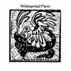 Widespread Panic album lyrics, reviews, download