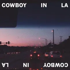 Cowboy in LA - Single by Tate Brusa album reviews, ratings, credits