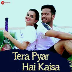 Tera Pyar Hai Kaisa Song Lyrics