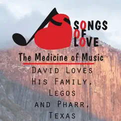 David Loves His Family, Legos and Pharr, Texas Song Lyrics