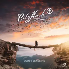 Don't Leave Me (feat. Laura-Ly) [Cityflash Remix] Song Lyrics