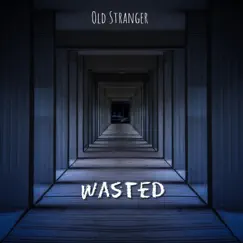 Wasted - Single by Old Stranger album reviews, ratings, credits