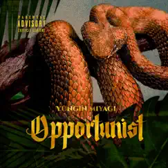 Opportunist - Single by Yungin' Miyagi album reviews, ratings, credits