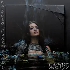 Wasted! (feat. Funk the Vocal) - Single by Kalypso album reviews, ratings, credits
