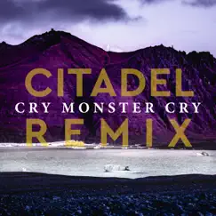 Citadel (Richey McCourt Remix) - Single by Cry Monster Cry album reviews, ratings, credits